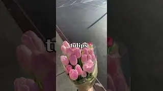 things to buy for a danish pastel room!!!🌷🌷#pastel  #shortvideo