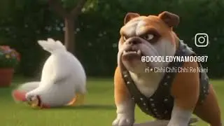 Fluffy Cat and hen funny video 
