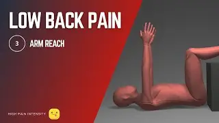Back-Friendly Core Exercise &ndash; Arm Raises with Spinal Control & Diaphragmatic Breathing