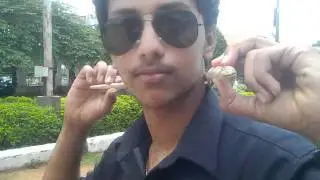 snake sham 2
