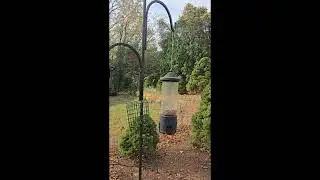 Large Capacity Wild Bird Feeder