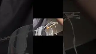 The center of gravity