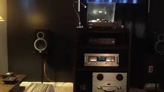 Elac B6 demo