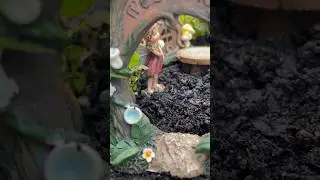 Fairy Garden with Pansies Short 🧚 #spring #fairygarden #short #container #garden #shorts
