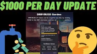 THE DRIP GARDEN $1000 PER DAY UPDATE