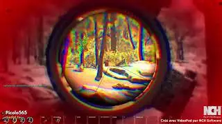 COMPILATION #18//P I C O L O //