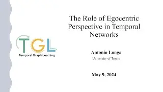 The Role of Egocentric Perspective in Temporal Networks