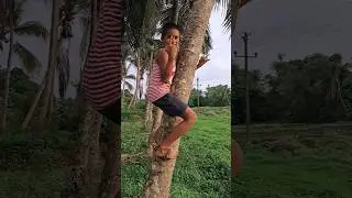 Coconut Tree Climbing Made Simple: Step-by-Step Tutorial #shrida #india