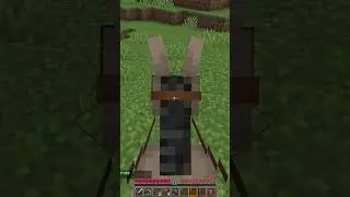 Starter Horse/Donkey Confirmed...  #minecraft #gaming #recap