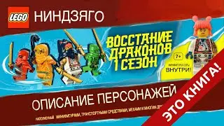 Timka LEGO Ninjago книга 