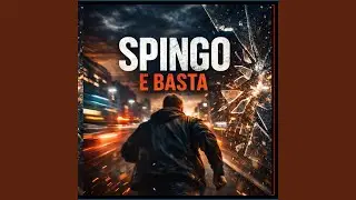Spingo
