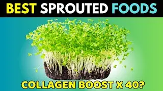 3 Sprouted Anti-Aging Foods| The $2 Collagen Boosting Secret in Your Pantry