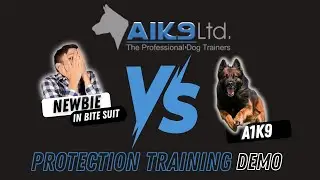 NEWBIE IN BITE-SUIT VS A1K9