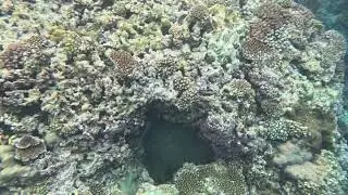Devils point road snorkeling off the beach