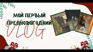 МОЙ ПЕРВЫЙ ВЛОГ l НОВЫЙ ГОД 2026 l выходные за городом