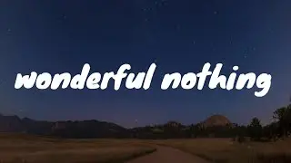 Glass Animals- Wonderful Nothing Lyrics