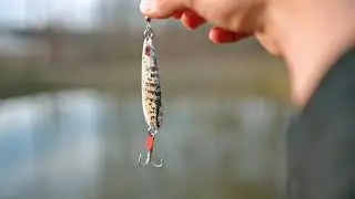 Get the Elite Tackle Box