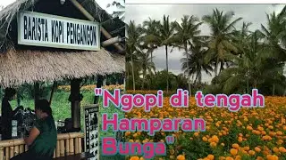 NGOPI CANTIK BARENG TIM PSC KRIS KLUNGKUNG KE WARUNG KOPI LAKLAK PENGANGON, BAKAS KLUNGKUNG BALI