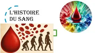 🩸 L&rsquo;Histoire du Sang : des Origines du sang &agrave; son &eacute;volution