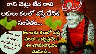 రావి చెట్టు కలలో వస్తే!బాబా గారికి అతి ప్రీతి పాత్రలుగ ఉన్నవారికి మాత్రమే!!బాబా స్వయాన పలికిన మాటలు
