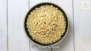 Victerra Ingredients - supplier of high-quality Conventional and Organic Pulses