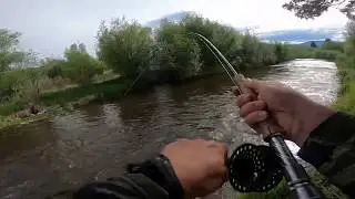 Small Stream Streamer Fishing 9 with Jay Scott Outdoors