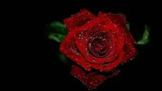 Majid El Remeh - Bnos Shbat - بنص شباط - مجيد الرمح.wmv