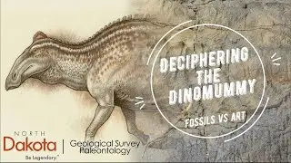 Deciphering the Dinomummy:  Fossils vs Art