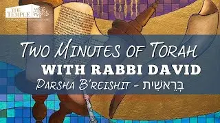 Two Minutes of Torah with Rabbi David - B&rsquo;reishit - בְּרֵאשִׁית