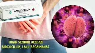 Bagaimana jika dengan amoxicillin, kencing nanah tidak juga sembuh??? #gonorrhea #amoxycillin