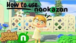 Nookazon für Anfänger | ACNH Beginnerguide