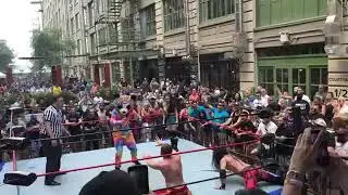 HUGE POP Groovy Grizzly VS The Hand