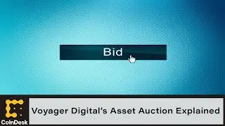 Voyager Digital&rsquo;s Asset Auction Explained