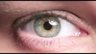 Allied Vision Technologies