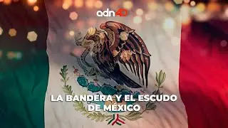 Bandera y escudo | El adn de la historia
