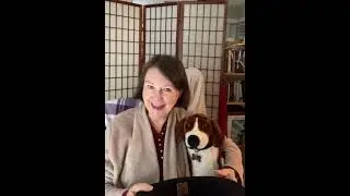 Zephyr Stone and the Haunted Beach House - Book Launch Day Oct 25, 2022- Kathryn Louise Wood, author