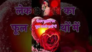 गुलाब शायरी हिंदी 🌹 Pyar Bhari Mohabbat shayari 🌹 love shayari in Hindi #shayari #love #trending