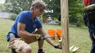 'Batman' battles mosquitoes in your backyard