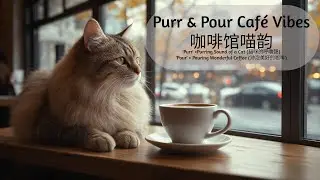Caf&eacute; Lofi: Autumn Paws & Coffee @ Purr Cafe |秋日爪迹：枫貓的咖啡品鉴时光| Perfect for Working, Reading & Relaxing
