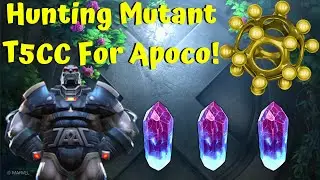 Hunting Mutant T5CC To Rank 3 Apocalypse! AQ/Cavalier Rewards Opening! - Marvel Contest of Champions