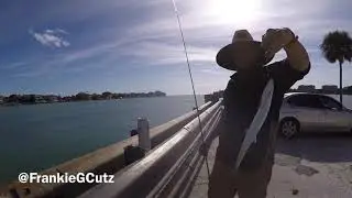Fishing In Longboat Key Florida