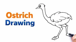 Ostrich Drawing Step by Step | शुतुरमुर्ग की आसान ड्रॉइंग