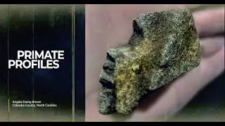 Analysis of Portable Rock Art