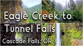 Eagle Creek to Tunnel Falls (Oregon hike)