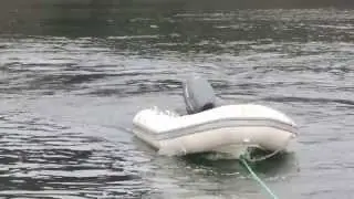 Orca encounter on Atlas - Gwaii Haanas, Haida Gwaii