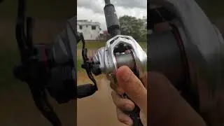 KASTKING SPARTACUS II FIELD TEST🔥🔥🔥
