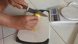 Ujian Praktikum Biologi | Antonius Nicholas Apriyanto | 12 Science C