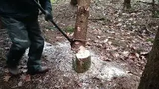 Vorsicht! Drehhaken h&auml;ngen lassen 🪵