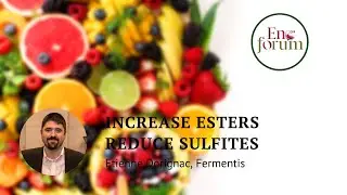 Yeast&nbsp;hybridization&nbsp;to&nbsp;overproduce&nbsp;esters&nbsp;and&nbsp;minimize&nbsp;sulfites