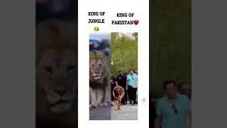 king of Pakistan Imran khan #imrankhan #politics #pakistan #imrankhanlive #election2023 #ptilive